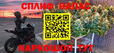 ешки Ставрополь