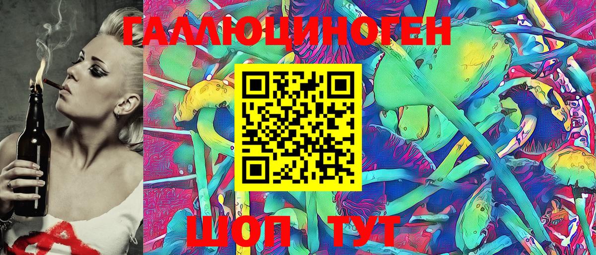 Мыски  Псилоцибиновые грибы Psilocybe  Вход с VPN  Псилоцибиновые грибы GOLDEN TEACHER 